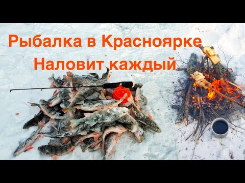 Видео: Шумиха Окунь Жаренное сало на костре