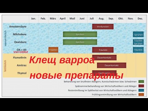 Видео: Клещ Варроа новые препараты для борьбы