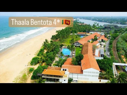 Видео: Thaala Bentota 4* пляжный отель на Шри Ланке #шриланка