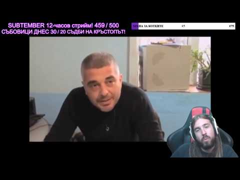 Видео: Пресли (Aethelthryth) гледа Съдби на Кръстопът / 09/09/2019