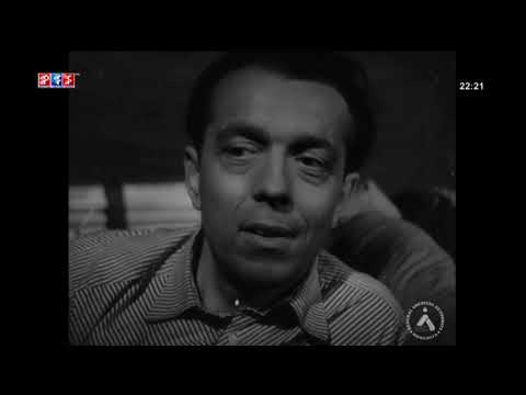 Видео: Түмний нэг МУСК (1962) -