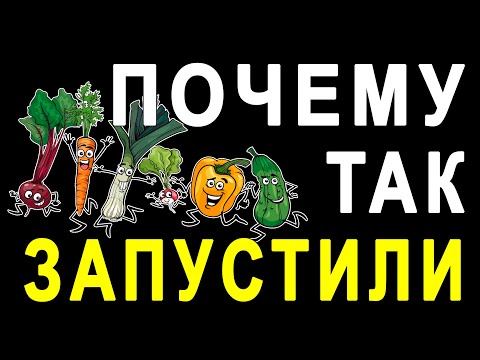 Видео: ВПЕРЕД ИДЕТ В ОЧЕРЕДЬ КАК БЫ ПОПУЛЯРНАЯ ИНФОРМАЦИЯ. РАЗГОВОРЫ С КОЛЛЕКТОРАМИ