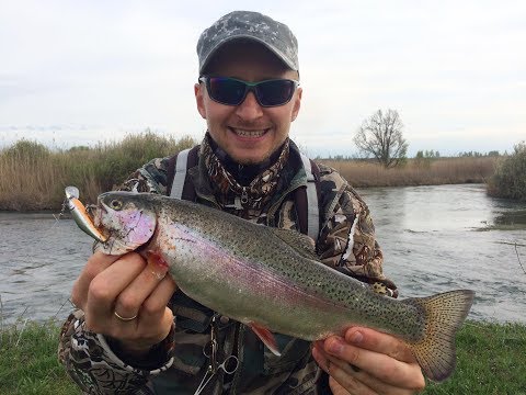 Видео: РЫБАЛКА. Видео. Форель. Заказник. Кыргызстан.