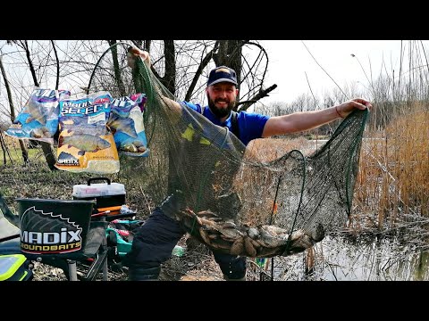 Видео: Риболов на каракуди на късо