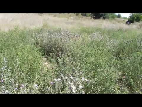 Видео: с.Балей - Некропол и селище от бронзовата епоха/2021/