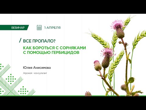 Видео: Вебинар. Все пропало? Как бороться с сорняками с помощью гербицидов.