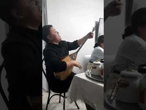 Видео: Шашбаулым
