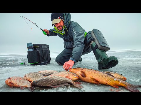 Видео: Опустив КАМЕРУ прозрів, Кабани не лізуть в лунку, Закинув Вудку ЄЄЄ, Рибалка Жесть