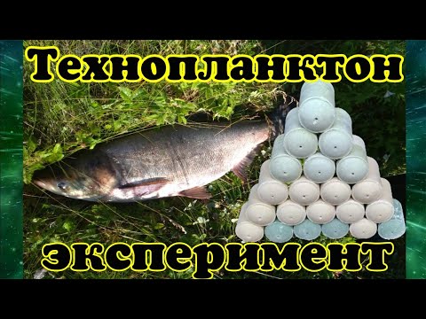 Видео: Технопланктон.Эксперимент растворения (пыления)