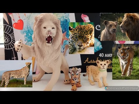 Видео: Вся моя коллекция фигурок диких кошек🦁🐱🐯🐆