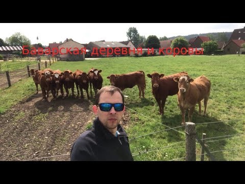 Видео: 4. Наше путешествие в Баварию город Ротенбург Завтрак Деревня и коровы часть 4.