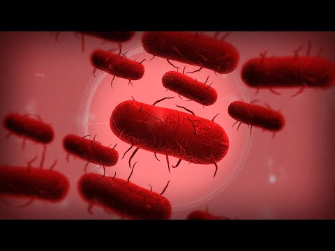 Видео: Прохожу бактерию в Plague inc Evolved