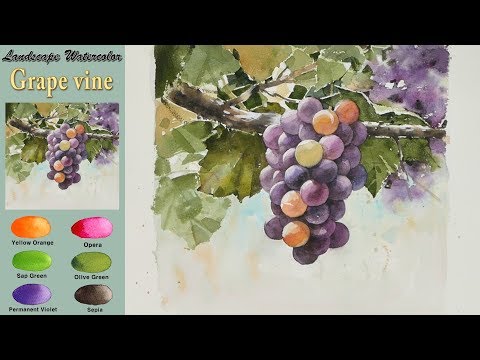 Видео: Виноградная - акварель (wet-in-wet, Arches) NAMIL ART