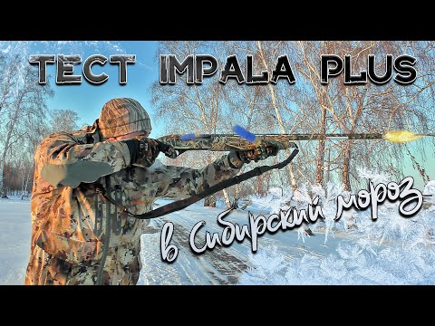 Видео: Тестируем работу Impala Plus в Сибирский мороз