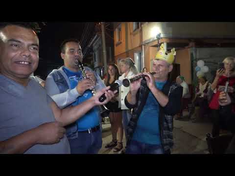 Видео: Бал Мирослав с Галата 17 08 2019