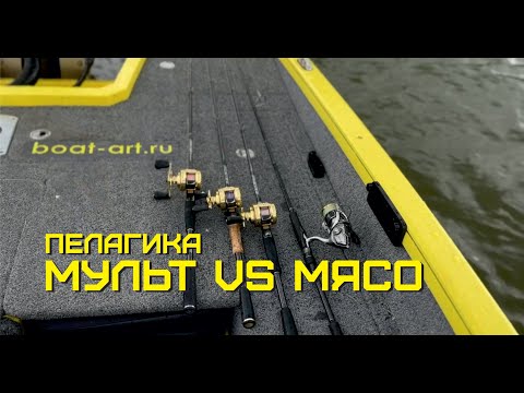 Видео: Мульт или мясо ? мой выбор катушки под рыбалку с panoptix