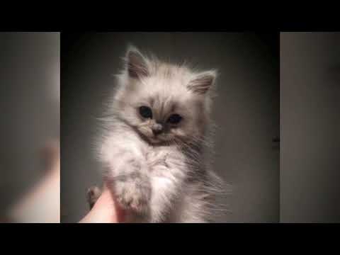 Видео: Krec - еле дыша (speed song)