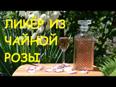 Видео: Ликёр из чайной розы. Самый вкусный ликёр. Настойка на лепестках чайной розы. Простой рецепт.