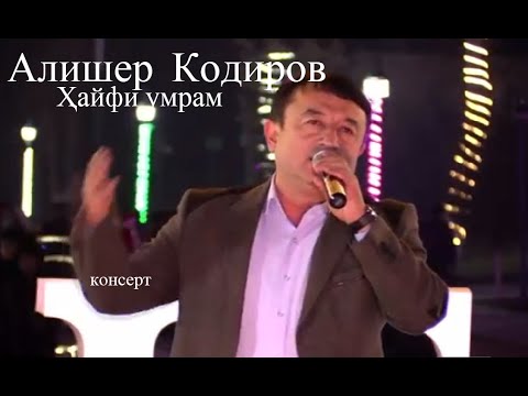 Видео: Алишер Кодиров Хайфи умрам