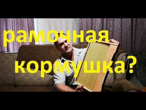 Видео: Нужна ли кормушка в рамке.