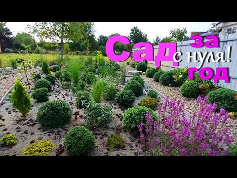 Видео: Наш новый сад в Закарпатье. Полный обзор! Что  успели за год.