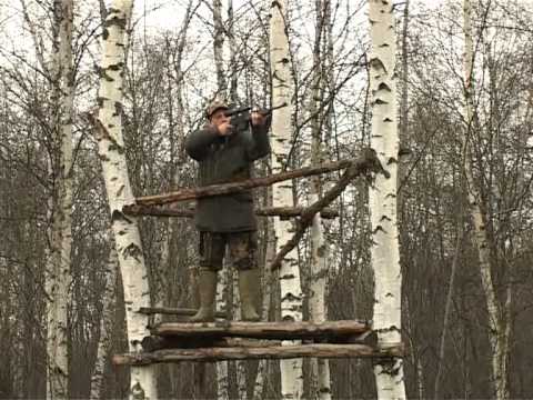 Видео: Охота с Леонидом Костюковым. Загонная охота на лося в Ярославской области. часть 1