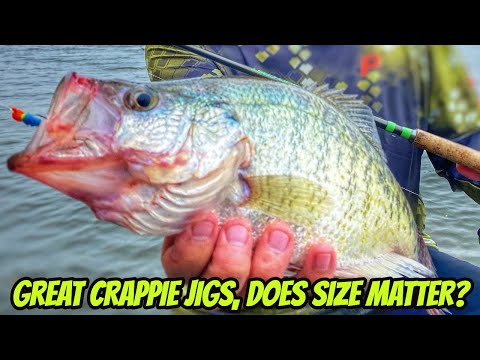 Видео: ОТЛИЧНЫЕ ДЖИГ-ПРИПСЫ ДЛЯ ЛОВЛИ КРАППИ. Действительно ли размер и цвет имеют значение?