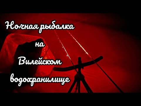 Видео: Ночная ловля леща на фидер. Фидерная рыбалка на Вилейском водохранилище.