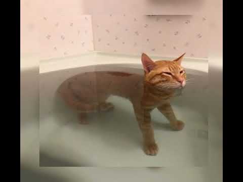 Видео: MONATIK-кружит(sped up)