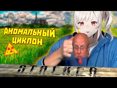 Видео: ВЕЙ СМОТРИТ: "Внимание, Анекдот!" - STALKER 2 лютые БАГИ | WDF 273