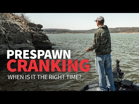 Видео: ПРЕДВАРИТЕЛЬНАЯ ЗАПУСКА — НА ЧТО ориентироваться и ГДЕ искать!