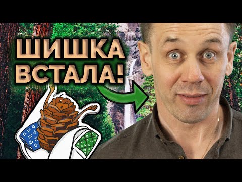 Видео: А КОЛЛЕКТОР И НЕ ПОНЯЛ! СБЕР СКРЫВАЕТ НОМЕРА? | Как не платить кредит | Кузнецов | Аллиам