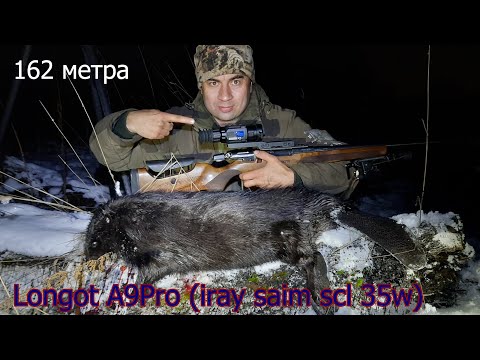 Видео: Охота на бобра с тепловизором Longot A9Pro (iray saim scl 35w). Выстрел на 162 метра.