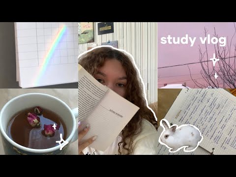 Видео: study vlog | готовлюсь к егэ