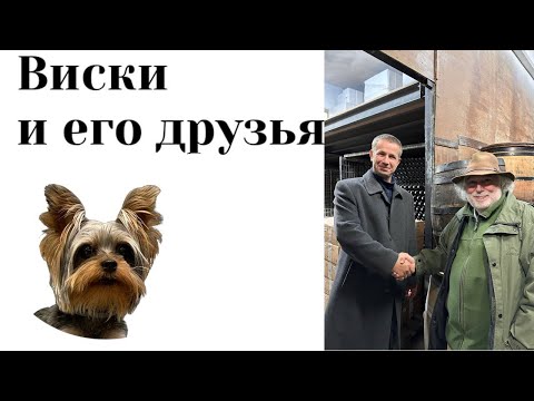 Видео: Беседы с Джимом Мюрреем