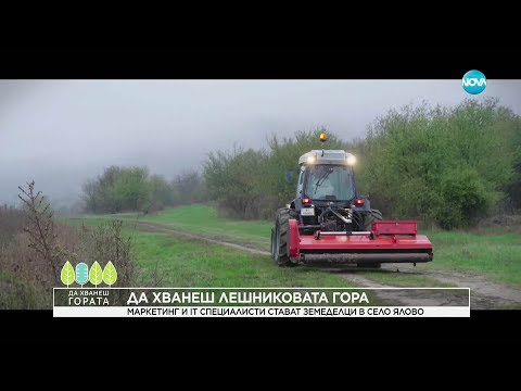 Видео: Да хванеш гората (02.11.2025)