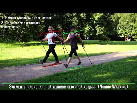 Видео: Nordic Walking. Техника ходьбы с палками.
