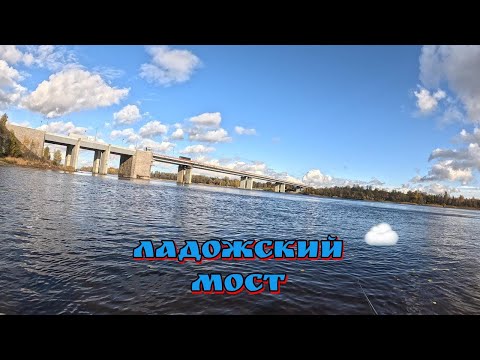Видео: Ладожский мост!🎣