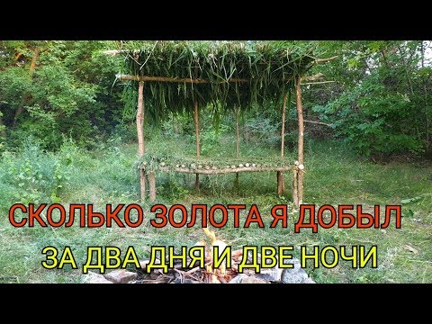 Видео: СКОЛЬКО ЗОЛОТА НАМЫЛ ЗА ДВА ДНЯ И ДВЕ НОЧИ...