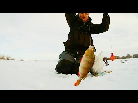 Видео: СЕКРЕТНАЯ МОРМЫШКА КОСИТ ОКУНЯ! Зимняя рыбалка. УДАЧНОЕ ОТКРЫТИЕ СЕЗОНА. Уже не первый лёд.