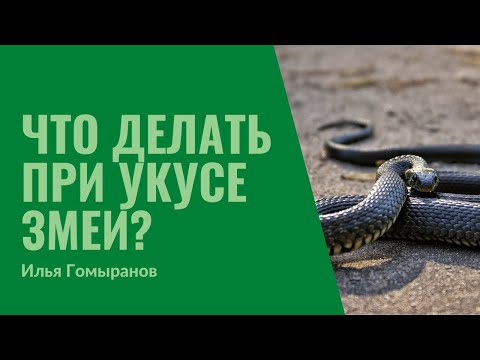 Видео: 32. Змеи, яд, укусы