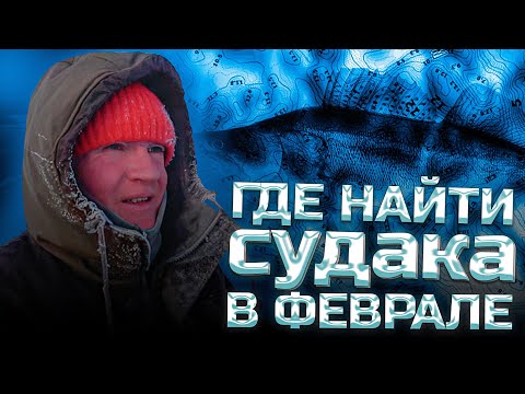 Видео: Ищу судака в феврале. Ловля на вибы. Река КАМА. д. КРАСНЫЙ БОР(Татарстан)