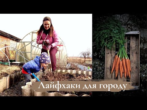 Видео: ПОСІВ МОРКВИ без ПРОРІДЖУВАННЯ 🥕наш метод✔️ГОРОДНЬО-САДОВА РОБОТА У БЕРЕЗНІ 🌿#сад #город