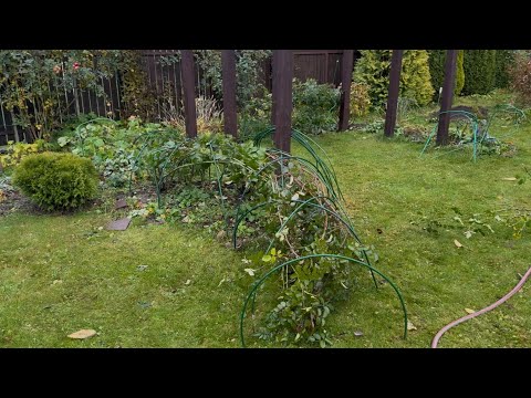 Видео: Продолжаю работать в саду. Сад в конце октября.29.10.25