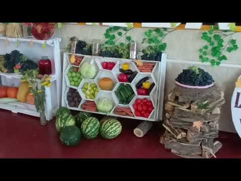 Видео: 14 сентября 2025 г.