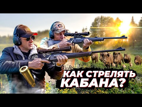 Видео: Как целиться и попадать в кабана. Охота на кабана. Секреты и приёмы точной стрельбы на охоте.