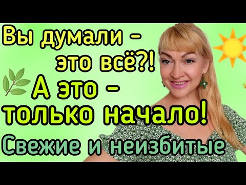 Видео: СВЕЖИЕ ПАРФЮМЫ НА ЛЕТО| АРОМАТЫ НА ЖАРУ| БУДУ ИХ НОСИТЬ СЕЙЧАС #парфюм #ароматы #духи #рекомендации
