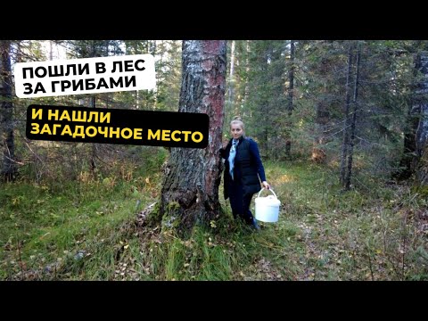 Видео: Пошли в лес за грибами и нашли загадочное место. Жизнь в деревне после переезда.