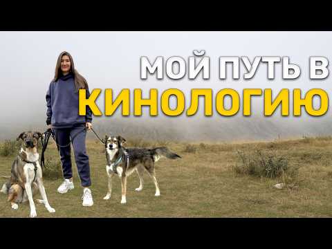 Видео: Как я не хотела быть кинологом, но все-таки им стала. Честная история #тренерсобак
