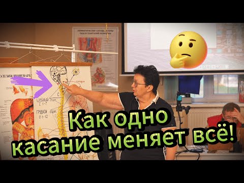 Видео: Болит шея? Проверь живот!